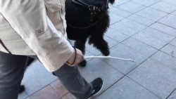 Закрой глаза и смотри Закрой глаза и смотри