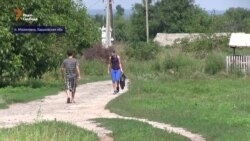 100 днів «Міністерства Донбасу і Криму» 100 днів «Міністерства Донбасу і Криму»