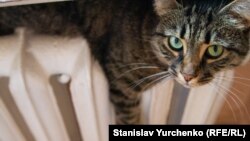 «Починаємо опалювальний сезон 25 жовтня»