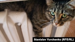 «Щодо комунальної сфери, житлових будинків, – ми орієнтуємось на погоду, щоб раціонально витрачати тепло»