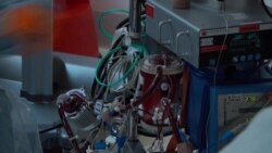 Почему провалилась "шведская модель" борьбы с коронавирусом Почему провалилась "шведская модель" борьбы с коронавирусом