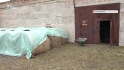 Як у Георгіївському облаштовують місце для проживання коней Як у Георгіївському облаштовують місце для проживання коней