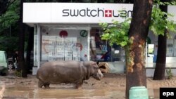 Наслідки повені у Тбілісі