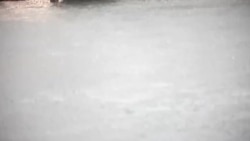 "Вайль. Кино про меня". Трейлер "Вайль. Кино про меня". Трейлер