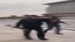 Дети Лукашенко Дети Лукашенко