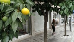 З Лімасолу «Схеми» перемістилася в пляжний район курортного містечка Ларнака