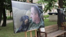 У Львові проходить виставка про бійців та їхніх тварин У Львові проходить виставка про бійців та їхніх тварин