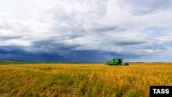 Рекордного урожая, как в 2016-ом, на следующий год может и не быть