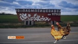 «Упадок начался, когда пришла Россия» (видео) «Упадок начался, когда пришла Россия» (видео)