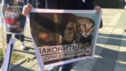 Дагестан. Защитники животных требуют ужесточить статью 245 Дагестан. Защитники животных требуют ужесточить статью 245