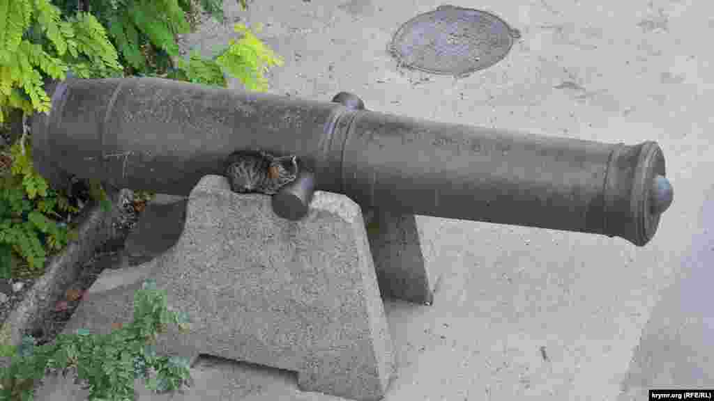 Кошка отдыхает на «лафете» корабельной пушки времен Крымской войны. Обычно туристы сюда не доходят