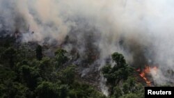 За словами Емманюеля Макрона, Франція також готова надати військову допомогу для боротьби з масштабною лісовою пожежею