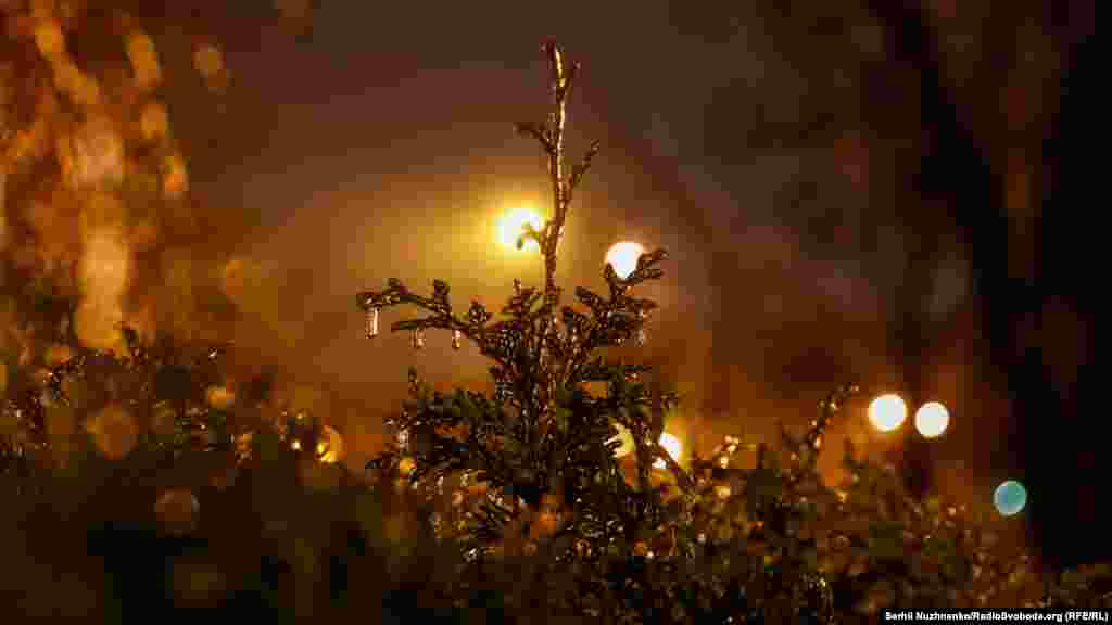 Крижана буря (крижаний дощ) – атмосферне явище, пов'язане з інтенсивним випаданням дощу, який, досягнувши земної поверхні, відразу замерзає