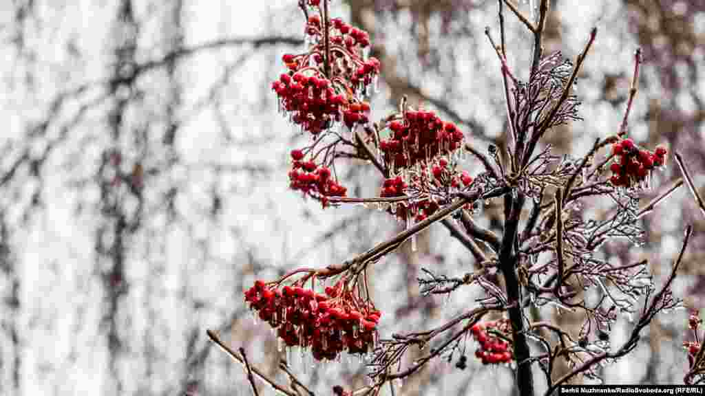Через негоду на Київщині та Житомирщині обмежили рух вантажівок і автобусів – «на час обробки спецтехнікою дорожнього покриття», пояснюють у ДСНС  