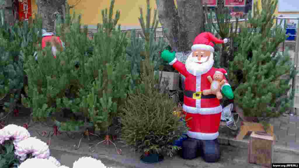 В местах торговли реализуют деревья, привезенные из соседней России – Пензы, Белгорода, Ростова и других городов