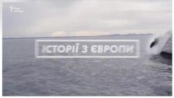 Вбивство китів. Чому Ісландія щороку вбиває 161 тварину? (відео) Вбивство китів. Чому Ісландія щороку вбиває 161 тварину? (відео)