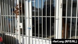 Një objekt i mbyllur i Qendrës për punë sociale, që funksiononte në kuadër të sistemit serb.