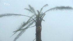 Найгірший буревій за десятиліття у США – Harvey (відео) Найгірший буревій за десятиліття у США – Harvey (відео)