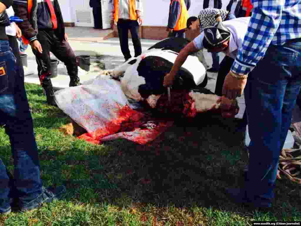 Омодагиҳо ба иди Қурбон дар масҷиди "Минор"