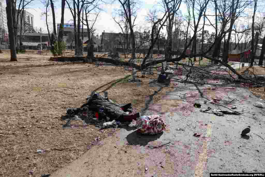 Тіло жінки в ірпінському парку «Дубки». Зараз нічого не вказує на те, що це місце загибелі людини. Ліворуч фото від 11 березня 2022, праворуч – березень 2025 року