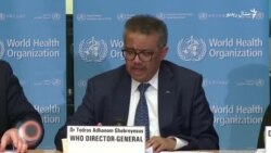 د مارچ شپږمې ويډيويي خبرونه د مارچ شپږمې ويډيويي خبرونه