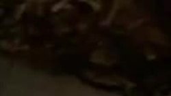 Отправка раненых из в/ч 29760 в Луге на фронт.mp4 Отправка раненых из в/ч 29760 в Луге на фронт.mp4