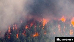 Жертвами лісових пожеж у Австралії стали три людини