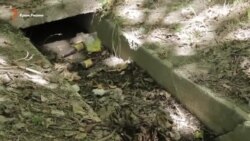 «Гости были в шоке, в каком г**** мы живем» – жительница Симферополя (видео) «Гости были в шоке, в каком г**** мы живем» – жительница Симферополя (видео)