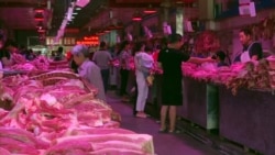 Как африканская чума свиней поставила под угрозу отпускные привычки Как африканская чума свиней поставила под угрозу отпускные привычки