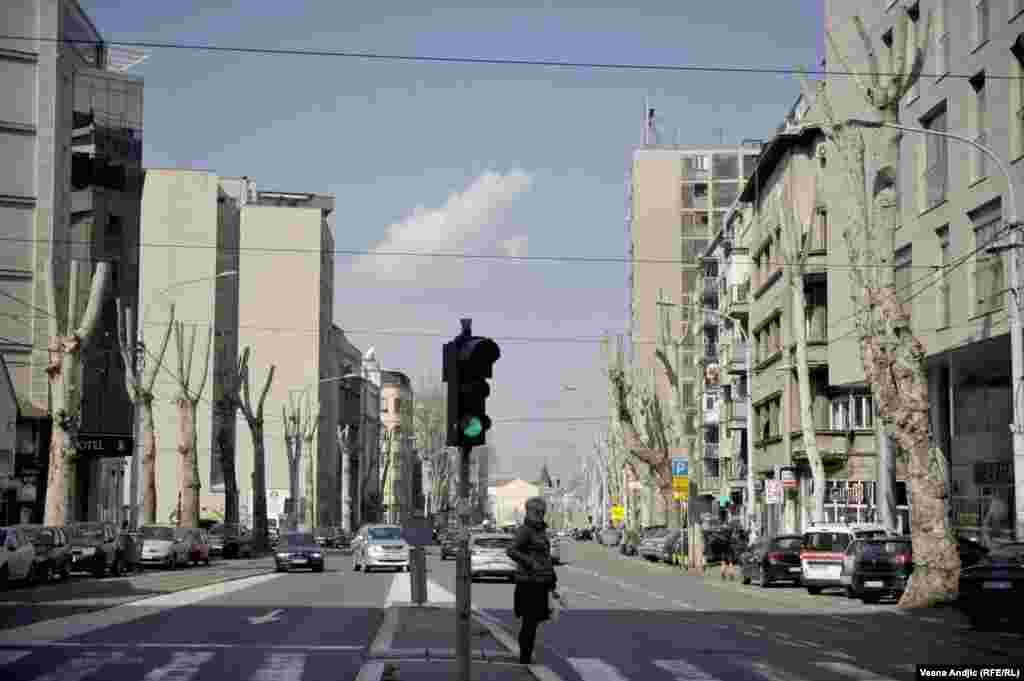 Nekada bujan dvored, danas je pretvoren u sablasnu kolonu bledih stabala.