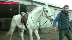 В Грузии зоопарк готовится к новоселью (видео) В Грузии зоопарк готовится к новоселью (видео)