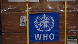 Novi slučajevi COVID-19 širom sveta, ekonomije u recesiji Novi slučajevi COVID-19 širom sveta, ekonomije u recesiji