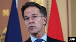 მარკ რიუტე, ნატოს გენერალური მდივანი