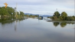 Фотодневник Ворониных. Середина сентября Фотодневник Ворониных. Середина сентября