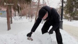 Новосибирцы спасают от гибели захмелевших птиц Новосибирцы спасают от гибели захмелевших птиц