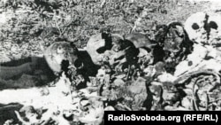 Місце першого розкопу у Сандармоху. Це те, що побачили представники Петербурзького «Меморіалу» і Юрій Дмитрієв 1 липня 1997 року