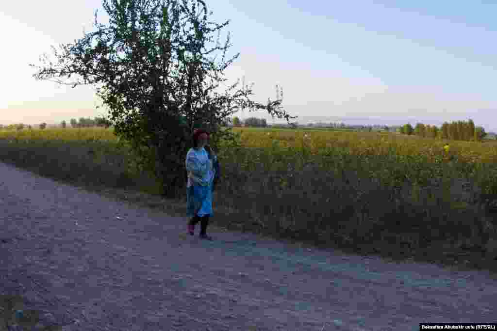 С одного гектара крестьяне получают примерно 1–1,5 тонны хлопка. С августа по ноябрь хлопок собирают несколько раз   