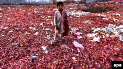 Пищевые отходы возле рынка в Пешаваре, Пакистан