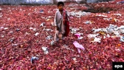 Un copil din Pakistan caută ceapă printre deșeurile alimentare aruncate de un supermarket