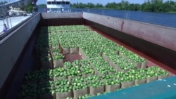 Баржа з кавунами вирушила з Херсонщини до Києва (відео) Баржа з кавунами вирушила з Херсонщини до Києва (відео)