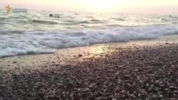 Отдых в Николаевке: курортники жалуются на высокие цены (видео) Отдых в Николаевке: курортники жалуются на высокие цены (видео)