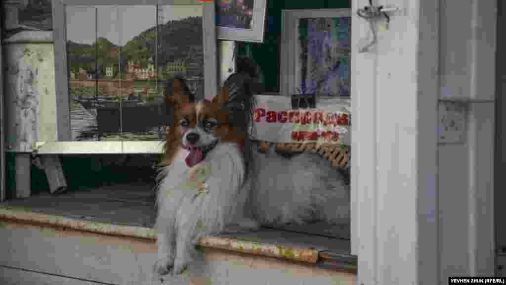 В одной из сувенирных палаток в «распродаже» вот такой товар