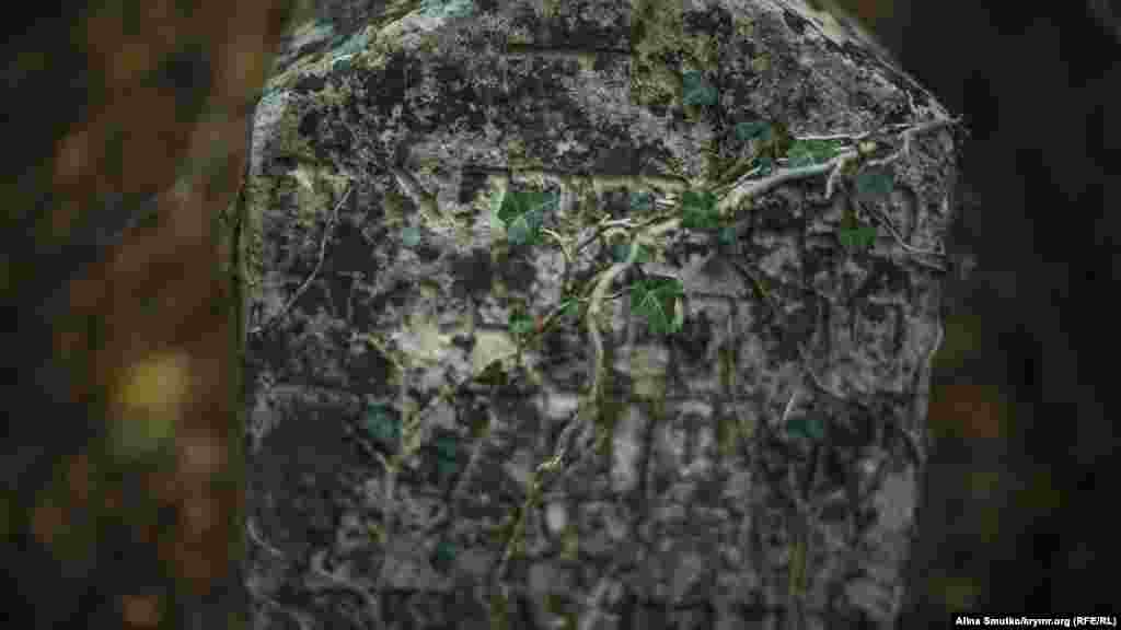 Сегодня в долине растет десяток дубов, которые остались от священной дубовой рощи караимского народа