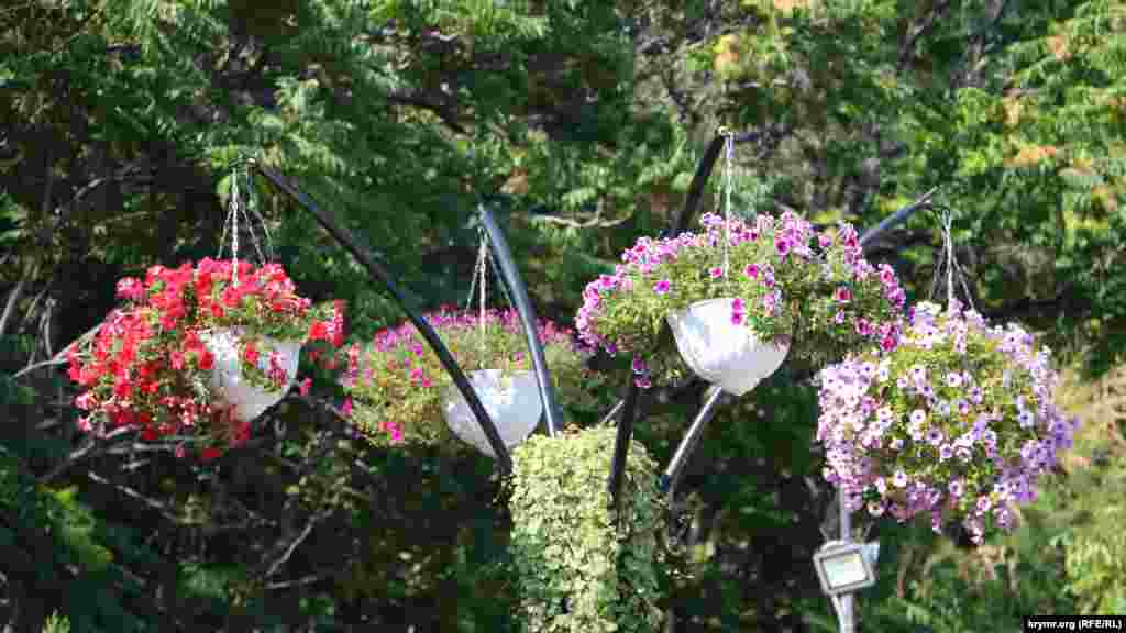 Украшение набережной – ухоженные цветы