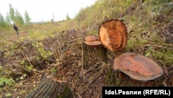 Пока выступал Минниханов