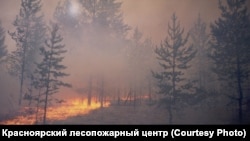 Тайга горит. Красноярский край