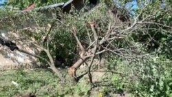 Результати обстрілу українських позицій на Приазов'ї (відео) Результати обстрілу українських позицій на Приазов'ї (відео)