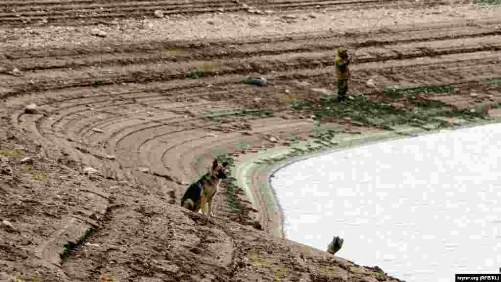 В ноябре прошлого года Аянское водохранилище было заполнено менее чем на треть при объеме в 3,9 млн кубических метров