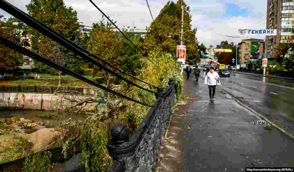 Линии электропередач сильно провисли из-за упавшего дерева