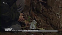 Вугілля спотикання: із шахтарів у лісоруби (відео)